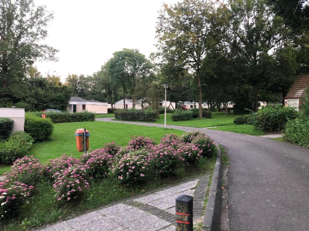Steef'S Vakantiehuis Zuid Limburg 辛佩尔费尔德 外观 照片